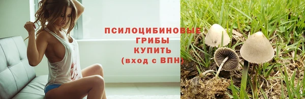 дмт Алексеевка