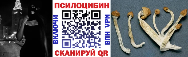 Псилоцибиновые грибы Psilocybine cubensis  Балабаново 